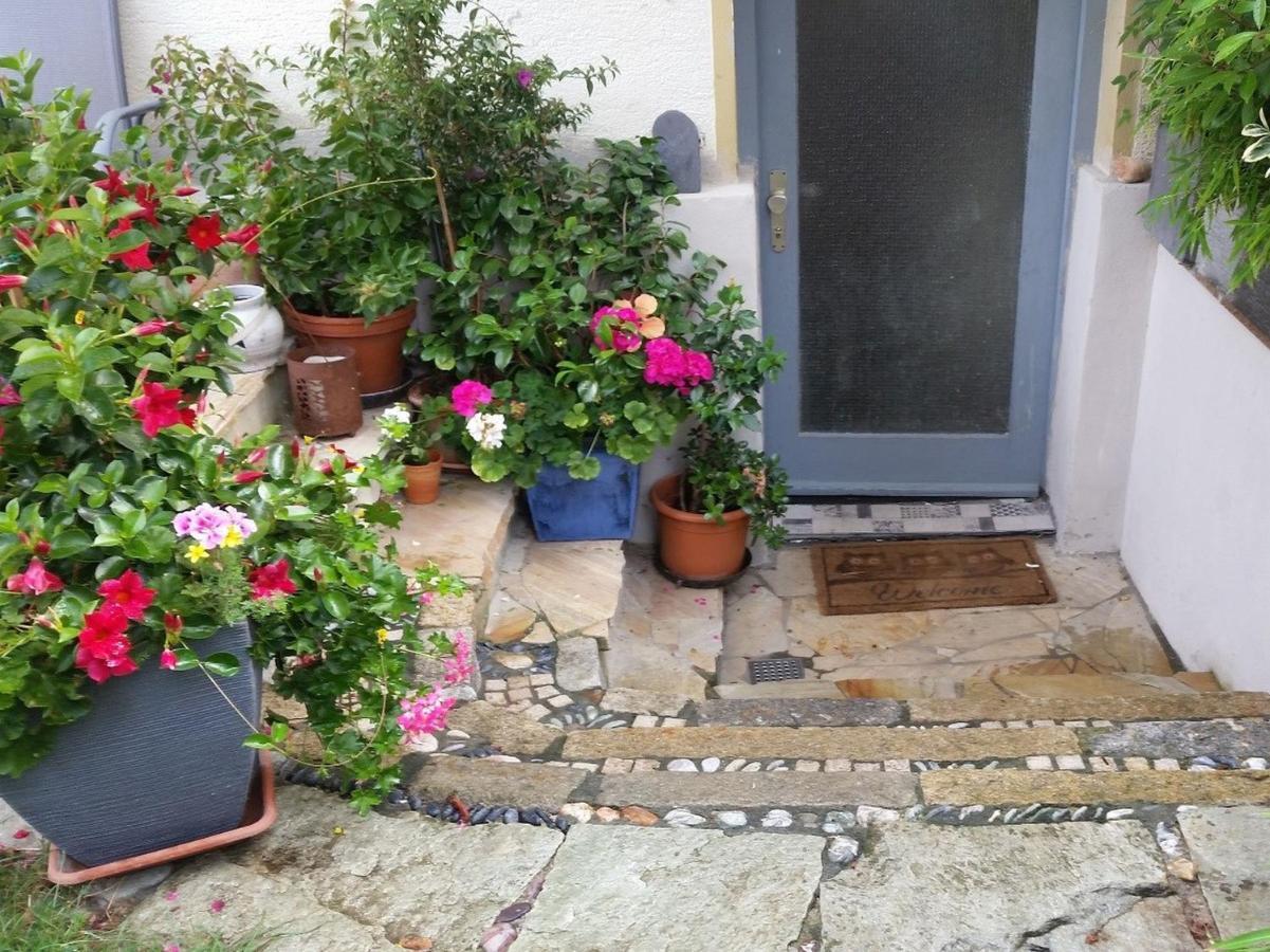 Ferienwohnung Am Berg, 35Qm Rickenbach  エクステリア 写真