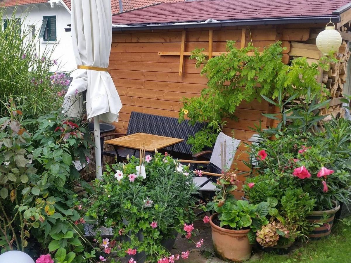 Ferienwohnung Am Berg, 35Qm Rickenbach  エクステリア 写真