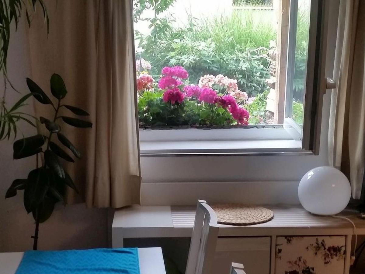 Ferienwohnung Am Berg, 35Qm Rickenbach  エクステリア 写真