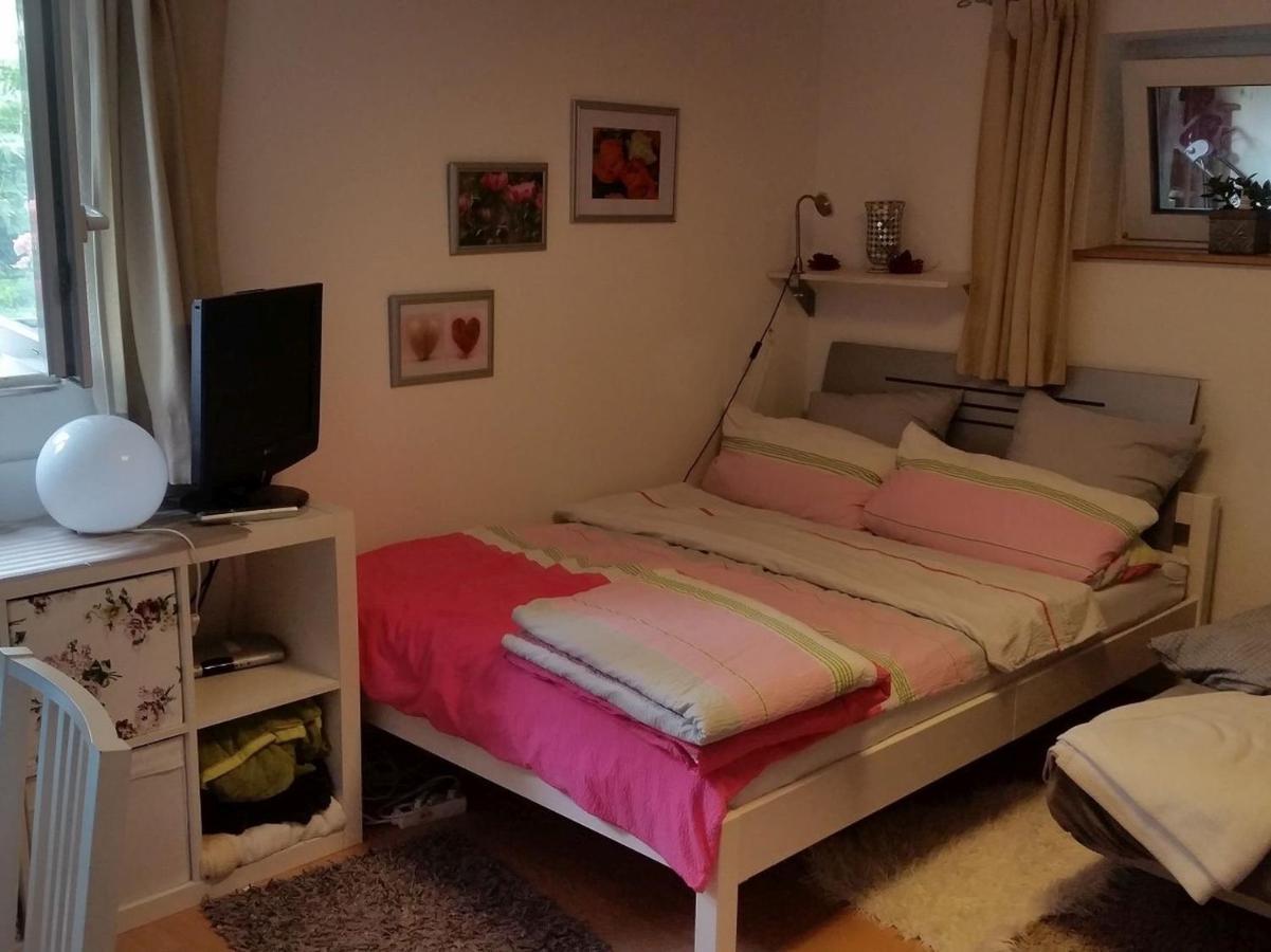 Ferienwohnung Am Berg, 35Qm Rickenbach  エクステリア 写真