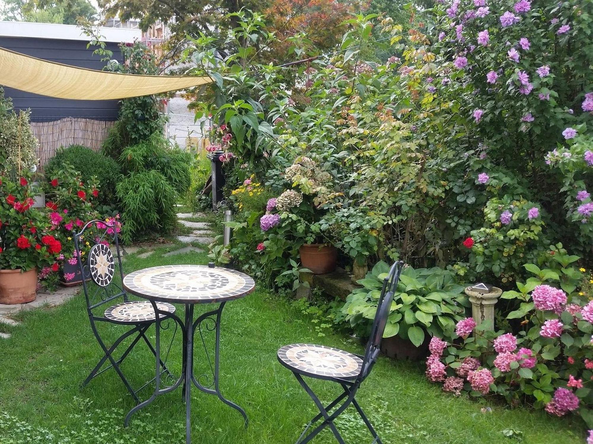 Ferienwohnung Am Berg, 35Qm Rickenbach  エクステリア 写真