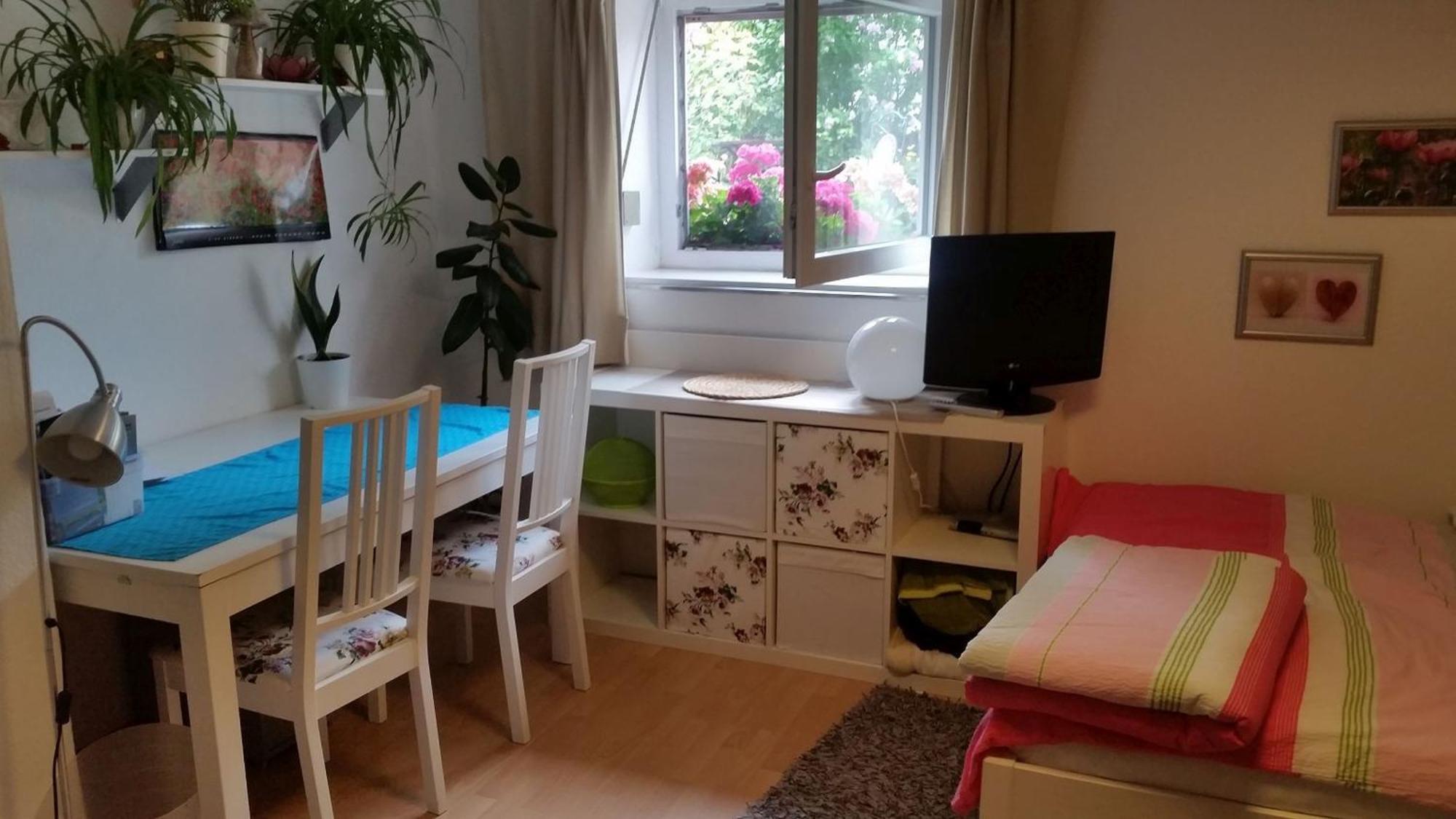 Ferienwohnung Am Berg, 35Qm Rickenbach  エクステリア 写真